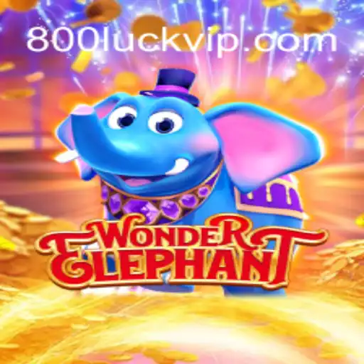 WonderElephant: A Thrilling Adventure with a Twist of Luck