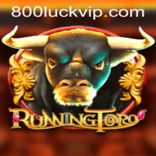 RunningToro: A Thrilling Adventure in the World of 800luck