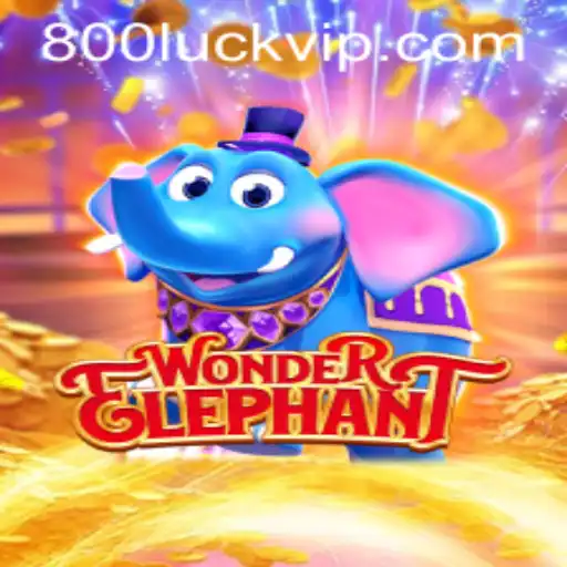 WonderElephant: A Thrilling Adventure with a Twist of Luck